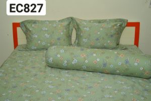 Z4667823308174 8ed8247c91bf9ee3bdcb4729b0cfe475